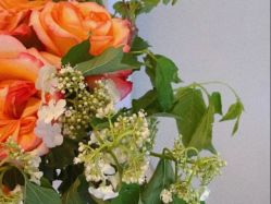 -联合丽格·张菡丽格医疗美容