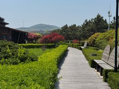 -青岛银沙滩