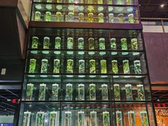 -广东中医药博物馆