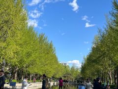 -玲珑塔公园