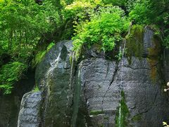 -望天鹅景区