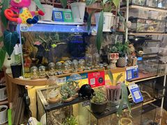 -Rabbit Cafe私房西餐甜点咖啡(栖霞路店)