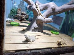 -石家庄市动物园