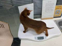 -美美宠物诊疗中心·异宠·骨科(滨江东信分院)