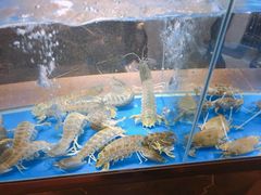 水产区-德米火锅(深圳湾1号旗舰店)