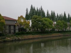 -嘉定紫藤园