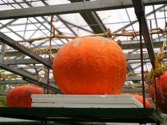 -兰陵国家农业公园