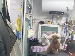 -达爱动物医院·犬猫分区·CT·复杂眼科(远洋山水分院)