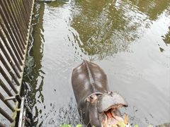 -海南热带野生动植物园
