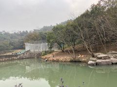 -宁波野生动物园