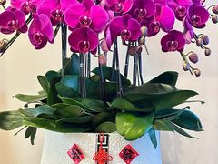 -天目湖御水温泉·度假酒店