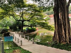 -广州雕塑公园