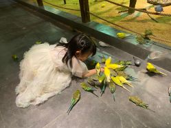 -酷嗒动物文化乐园(cutezoo西溪乐天城店)