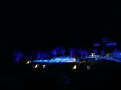 android_upload_pic-禅宗少林·音乐大典