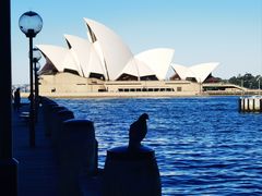 -悉尼歌剧院