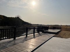 -同里国家湿地公园