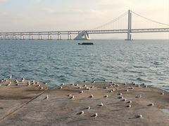 -星海广场