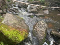 -汤旺河林海奇石景区
