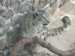 -青藏高原野生动物园