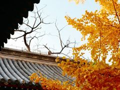 -承恩寺
