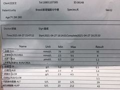-宠爱国际动物医院·疑难骨科·心肾内科·皮肤科(太阳宫店)