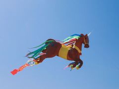 -潍坊滨海云门国际风筝放飞场