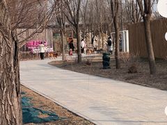-圣露庄园·亲子活动乐园·露营·团建婚礼
