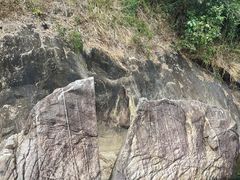 -广州白江湖森林公园