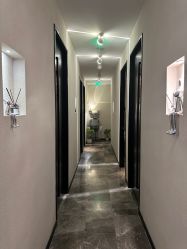 -玛莲朵·海菲秀冰珀科