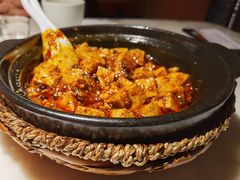 麻婆豆腐-初蓉丨遇见新川菜(亲贤街荣耀店)