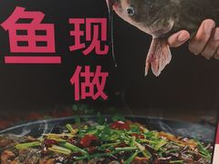 -老板恋上鱼(恒隆广场店)