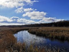 -塞罕坝国家级自然保护区