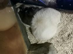 -未来动物城动物主题公园(大悦城店)