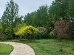 -长春公园(普阳街道)