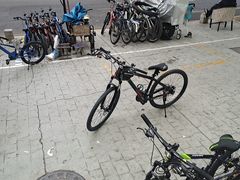 -道路口单车爱瓦士dahon大行