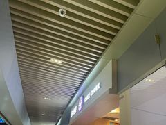 -西树泡芙(珠海华发商都店)