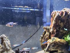 -朝来春花卉市场-东停车场