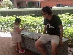 -香港大学