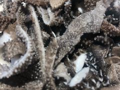 -京门老爆三·铜锅涮肉 爆肚(望京店)