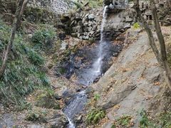 -宁波市保国寺古建筑博物馆