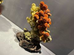 -青田石雕博物馆