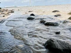 -上海吴淞炮台湾国家湿地公园
