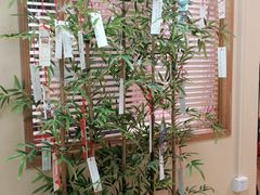 -优米国际日语·留学·移民(南山校区)