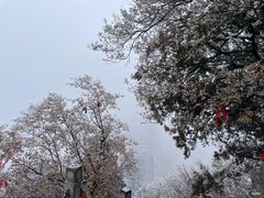 -终南山南五台景区