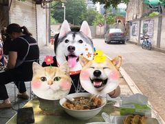 -老太皮肚面