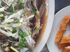-微山岛春天里酒家