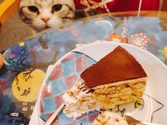 -猫色咖啡·猫咖