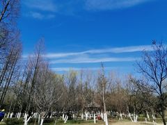 -三国赤壁古战场