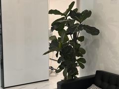 -马泷齿科·成都锦江置略马泷口腔门诊部(IFS国金中心店)