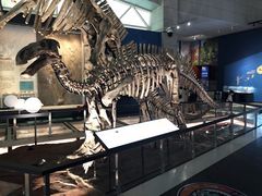 -湖南省地质博物馆